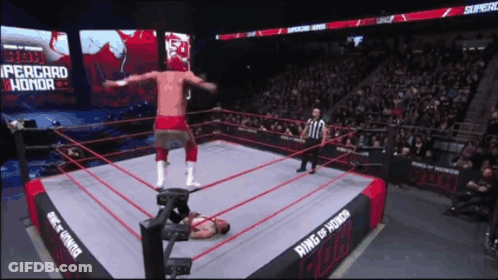 Wrestler In Ring Of Honor GIF
