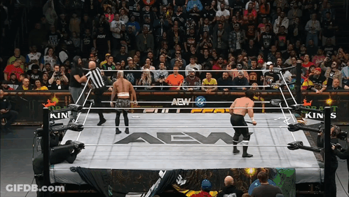 Wrestler In Ring With AEW GIF