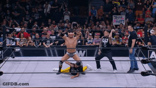 Wrestler In Ring With Jeff Watt Sign GIF
