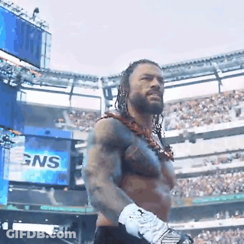 Wrestler In Stadium Crowd With GNS Sign GIF