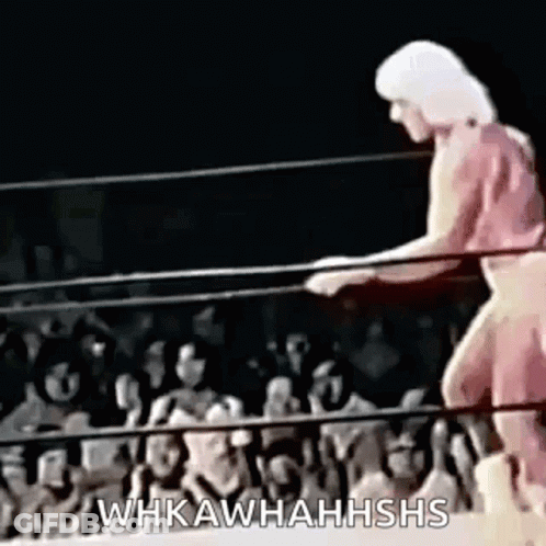 Wrestler In Wrestling Ring With Crowd GIF