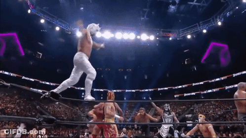 Wrestler Jumping Over Rope While Another Watches GIF