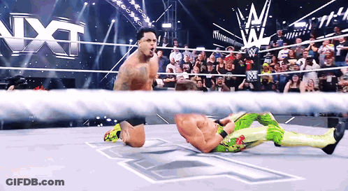 Wrestler Kneeling In Ring With Crowd Watching GIF