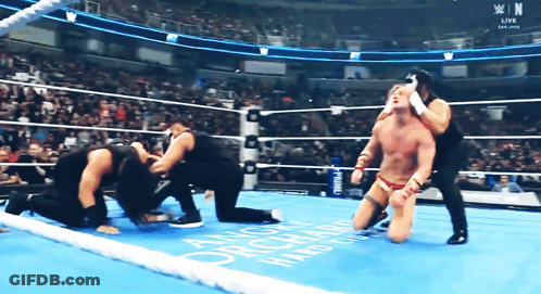 Wrestler Kneeling In Ring With Orchard GIF