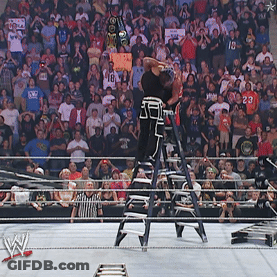 Wrestler On Ladder In Front Of Crowd With Sign 18 GIF