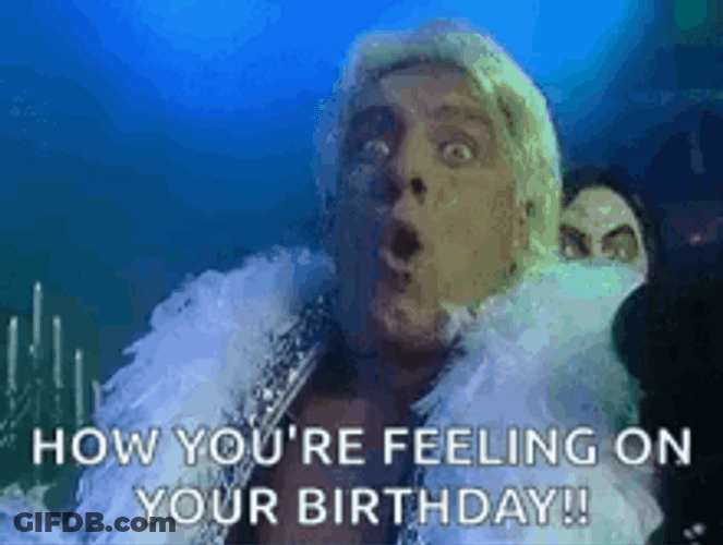 Wrestler Ric Flair Its Your Birthday Feeling GIF