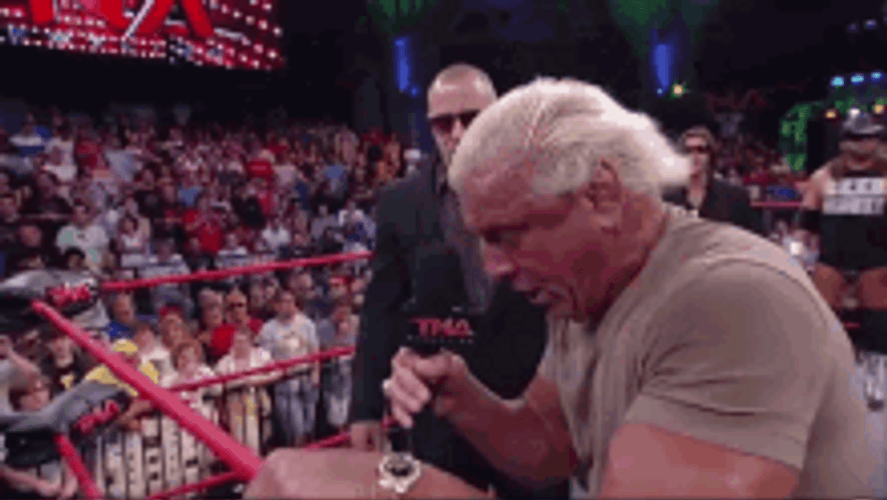 Wrestler Ric Flair Woo And Look Reaction GIF