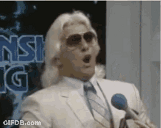 Wrestler Ric Flair Woo Funny Reaction GIF