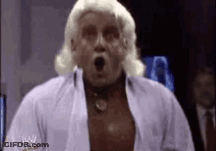 Wrestler Ric Flair Woo Gasp Reaction GIF