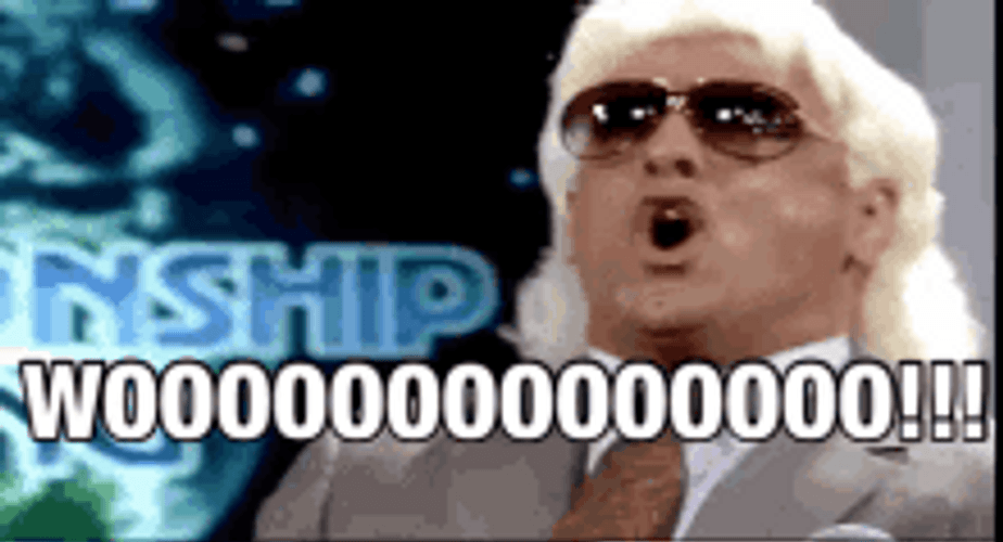 Wrestler Ric Flair Woo Learn To Love It GIF