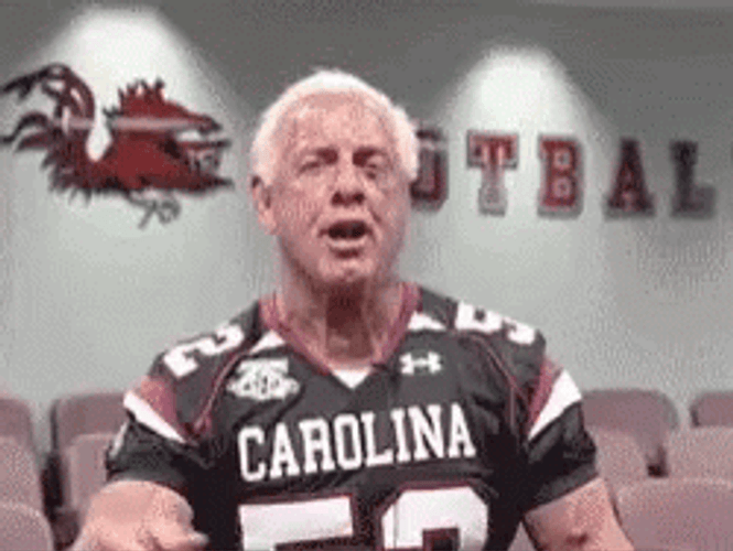Wrestler Ric Flair Woo Pointing GIF