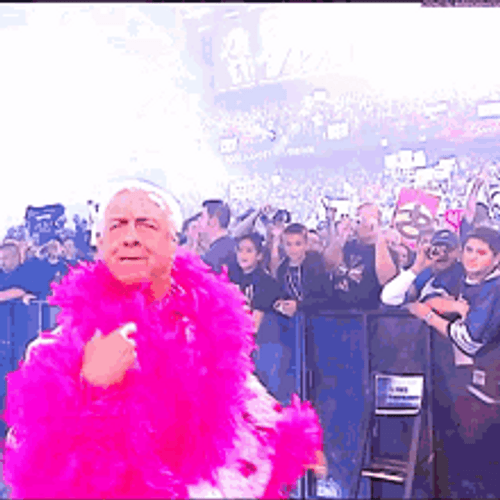 Wrestler Ric Flair Woo With Pink Snood GIF
