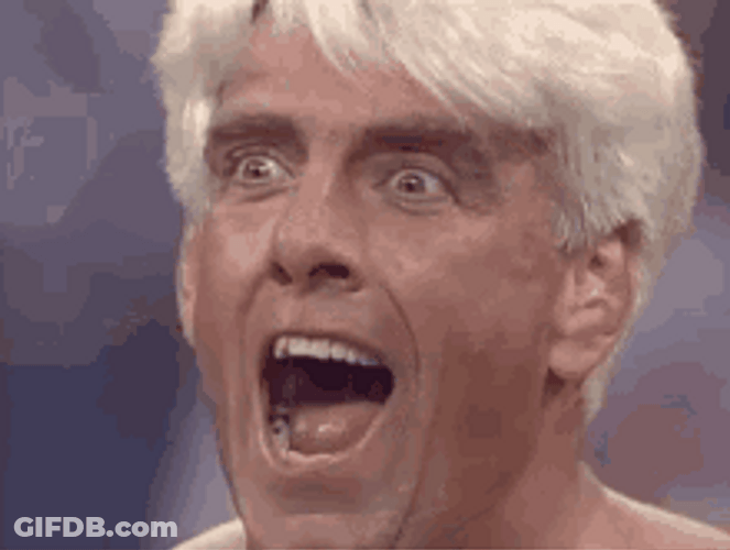 Wrestler Ric Flair Woo With Short Hair GIF
