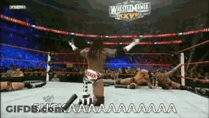 Wrestler Standing In Ring Arms Up Saying Suckaaa GIF
