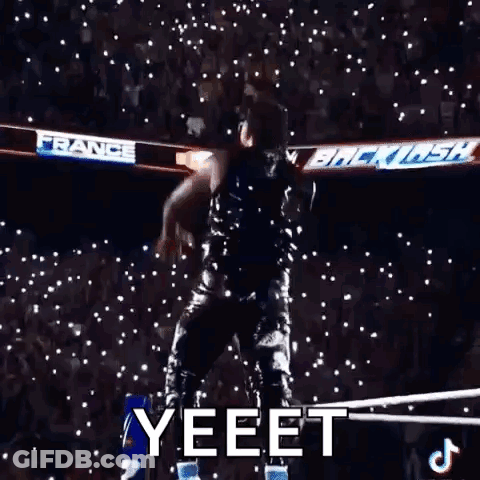Wrestler Standing In Ring GIF