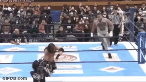 Wrestler Standing In Wrestling Ring GIF