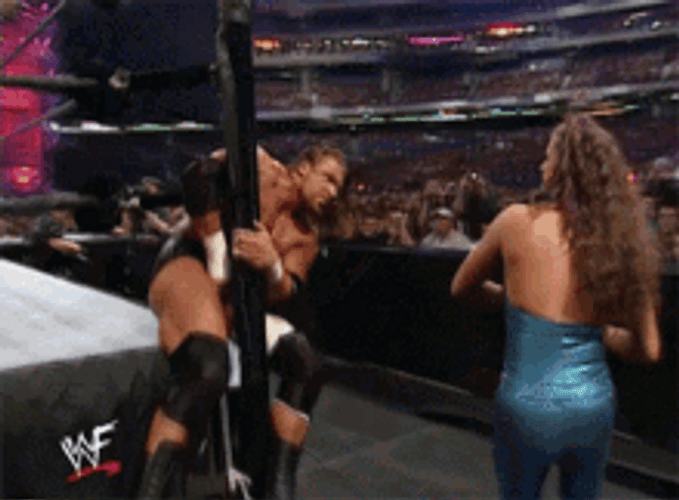 Wrestler Stephanie Mcmahon Slap Applause GIF