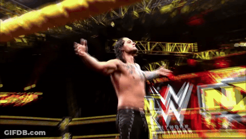 Wrestler With Arms Outstretched In Front Of WWE Logo GIF
