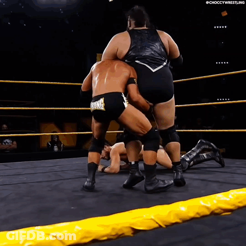 Wrestler With Bronco On Shorts Fighting Another Wrestler GIF