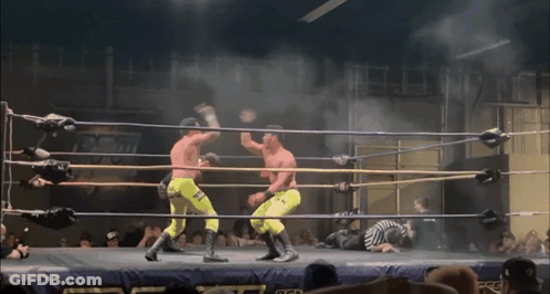 Wrestlers Fighting In Ring GIF