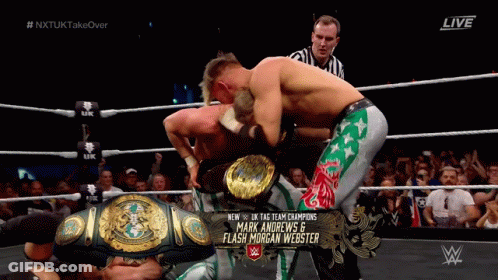Wrestlers Fighting In Ring GIF