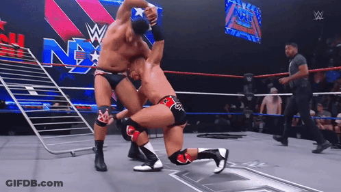 Wrestlers Fighting In Ring GIF
