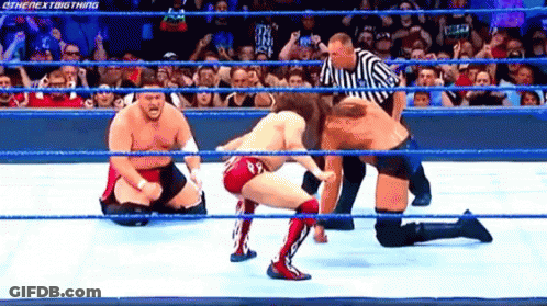 Wrestlers Fighting In Ring With Referee GIF