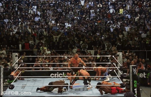 Wrestlers In Ring With Cricket Sign GIF