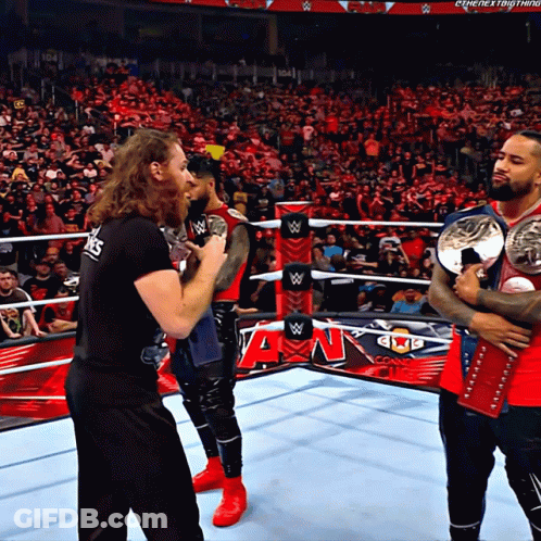 Wrestlers In Ring With Crowd And AN Sign GIF