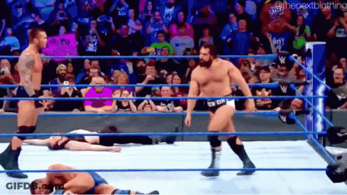 Wrestlers In Ring With Crowd Watching GIF
