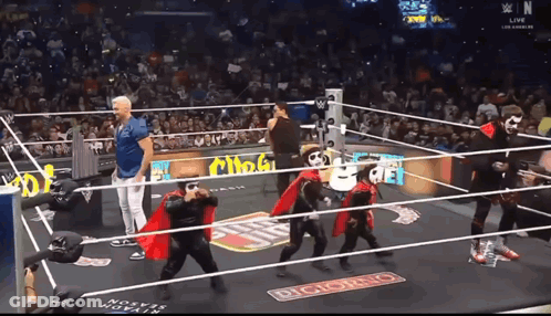 Wrestlers In Ring With Digicard Sign GIF