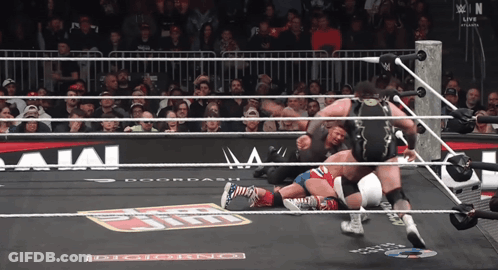 Wrestlers In Ring With Doordash Sign GIF