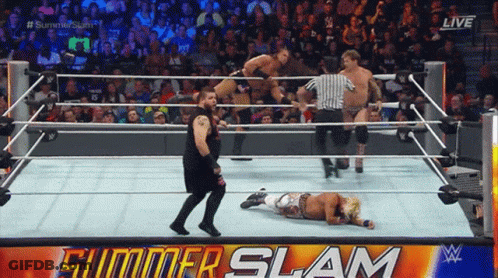 Wrestlers In Ring With Summer Slam GIF