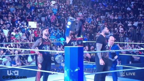 Wrestlers In Wrestling Ring Saying USA GIF