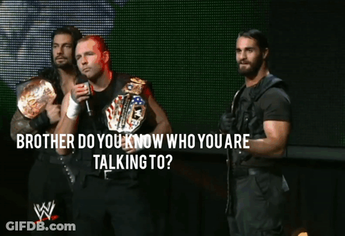 Wrestlers On A Stage With The Words Brother Do You Know Who You Are Talking To On The Bottom GIF