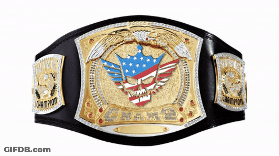 Wrestling Belt With Spinner GIF