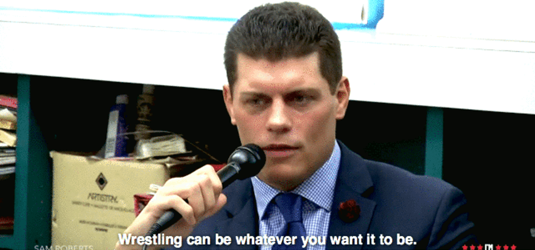 Wrestling Can Be Whatever Comment GIF