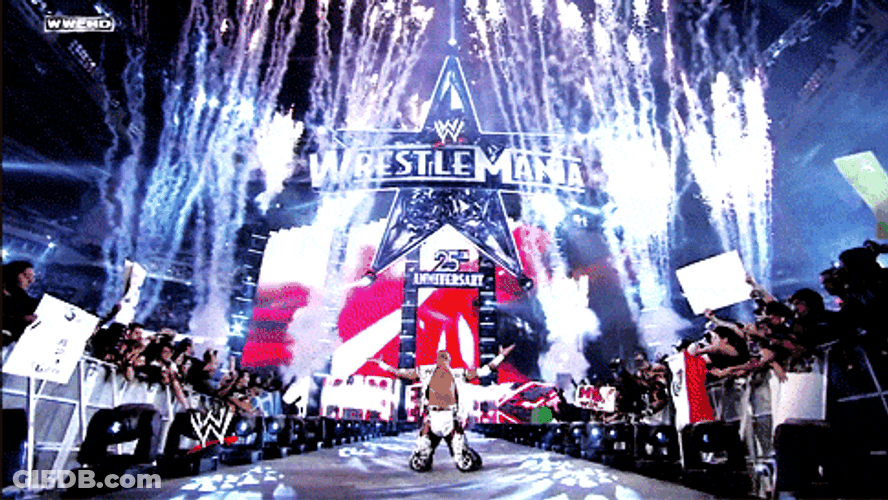 Wrestling Champion Shawn Michaels GIF