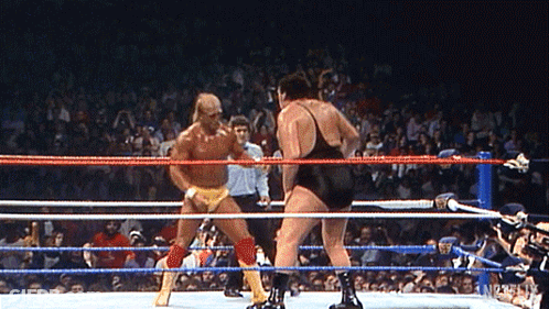Wrestling Man With Yellow Belt GIF