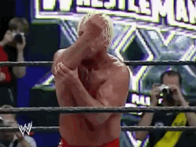 Wrestling Mania Ric Flair GIF