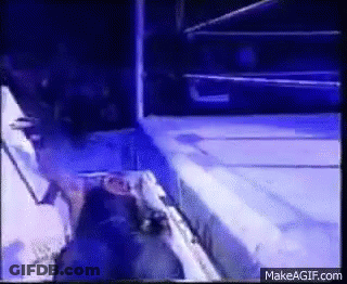 Wrestling Match GIF