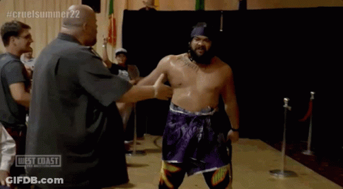 Wrestling Match Broadcast GIF