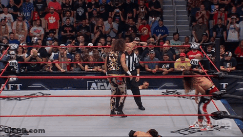 Wrestling Match In Front Of Crowd Saying AEW GIF