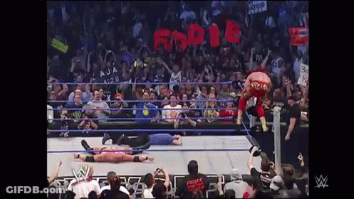 Wrestling Match In Front Of Crowd Saying GDR GIF