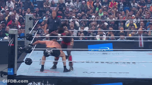 Wrestling Match In Front Of Crowd With Blue Allianz Sign GIF