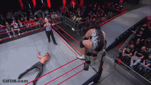 Wrestling Match In Front Of Crowd GIF