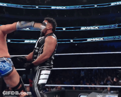 Wrestling Match In Front Of Smack Down Banner GIF
