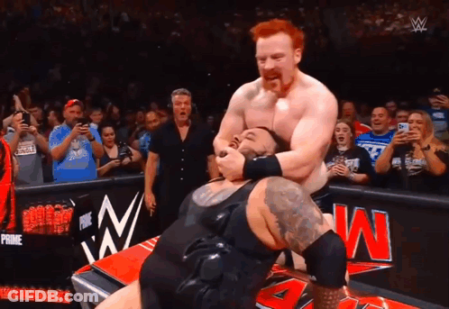 Wrestling Match In Front Of WWE Crowd GIF