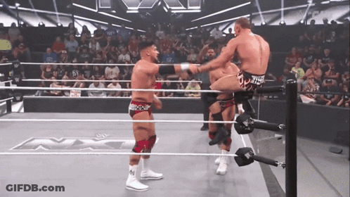 Wrestling Match In Ring GIF