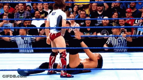 Wrestling Match In Ring With Crowd And Kneeling Wrestler GIF